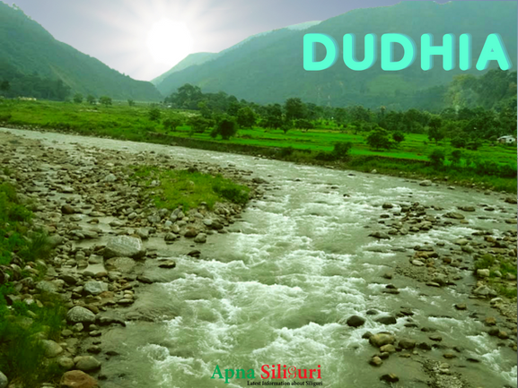 dudhia view